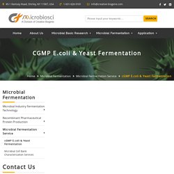 cGMP E.coli & Yeast Fermentation - Creative Biogene Microbiosci