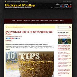 10 Fermenting Tips To Reduce Chicken Feed Costs