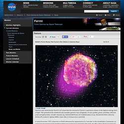 s Fermi Shows That Tycho's Star Shines in Gamma Rays