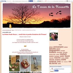 La Petite Poule Douce... oeufs frais et poules fermières de l'Yonne! - Le Terrier de la Marmotte