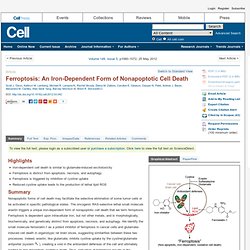 Ferroptosis: An Iron-Dependent Form of Nonapoptotic Cell Death