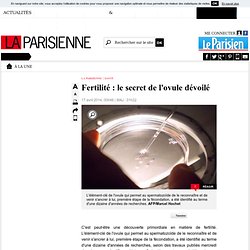 Fertilité : le secret de l'ovule dévoilé - La Parisienne