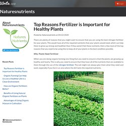 Top Reasons Fertilizer is Important for Healthy Plants by Naturesnutrients