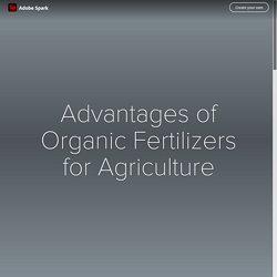 Advantages of Organic Fertilizers for Agriculture