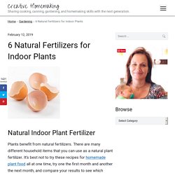 6 Natural Fertilizers for Indoor Plants - Creative Homemaking