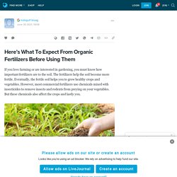 Here’s What To Expect From Organic Fertilizers Before Using Them: ext_5769596 — LiveJournal