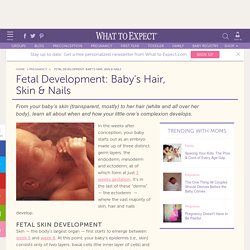 Fetal Hair, Skin and Nails
