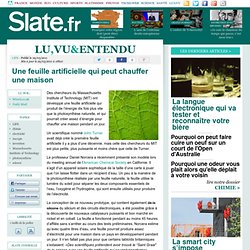 Une feuille artificielle qui peut chauffer une maison