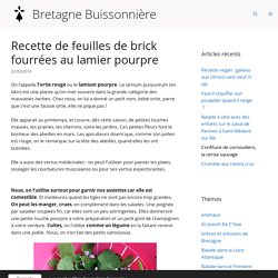 Recette de feuilles de brick fourrées au lamier pourpre - Bretagne Buissonnière