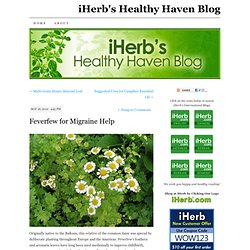 Feverfew for Migraine Help « The Healthy Haven
