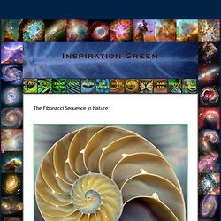 Fibonacci in Nature