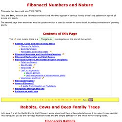 The Fibonacci Numbers and Golden section in Nature - 1