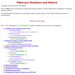 The Fibonacci Numbers and Golden section in Nature - 1