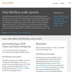Glial fibrillary acidic protein - ScienceDirect Topics