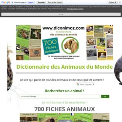 FICHES ANIMAUX