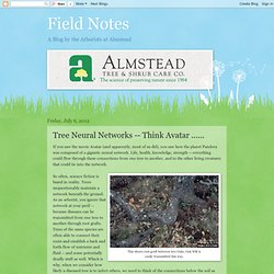 Field Notes: Tree Neural Networks
