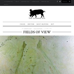 Fields of View - The Learned Pig