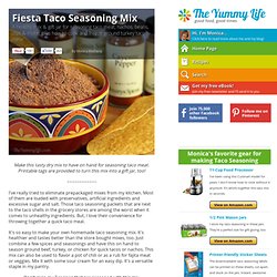 Fiesta Taco Seasoning Mix - Makes tasty meat for tacos, nachos, & more