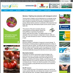 HORTIDAILY 19/03/18 Benelux: Fighting tuta absoluta with biological control