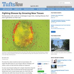 Fighting Disease by Growing New Tissues