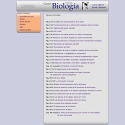 Biología, 7ma edición