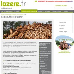 Le bois, filière d'avenir - Département de la Lozère