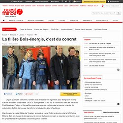 La filière Bois-énergie, c'est du concret , Trégrom 28/02/2013