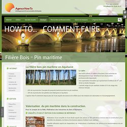 Filière Bois – Pin maritime