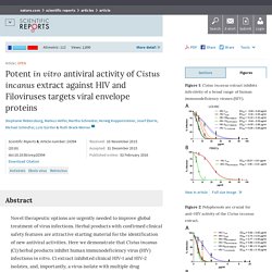 Potent in vitro antiviral activity of Cistus incanus extract against HIV and Filoviruses targets viral envelope proteins : Scientific Reports