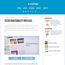 Filter Functionality with CSS3