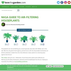 NASA Guide to Air-Filtering Houseplants