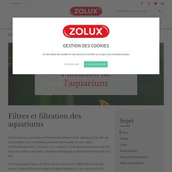 Filtration de l'aquarium - Zolux