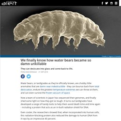 We finally know how water bears became so damn unkillable