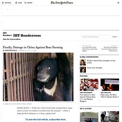 Finally, Outrage in China Against Bear Farming