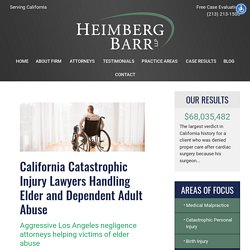 Elder Financial Abuse Lawyers in Los Angeles, California