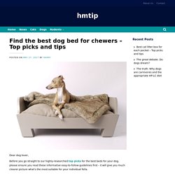 Find the best dog bed for chewers – Top picks and tips – hmtip
