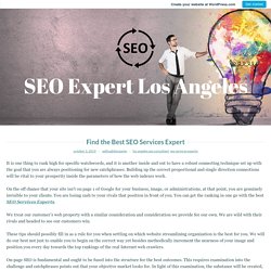 Find the Best SEO Services Expert – SEO Expert Los Angeles