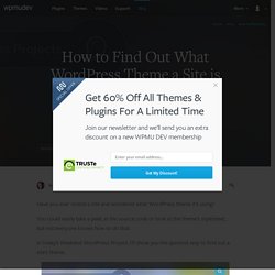 How to Find Out What WordPress Theme a Site is Using