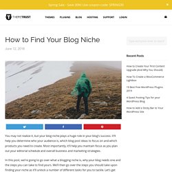 How to Find Your Blog Niche