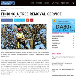 Finding a Tree Removal Service