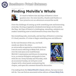 Finding Melville’s Whale