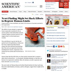 Newt Finding Might Set Back Efforts to Regrow Human Limbs