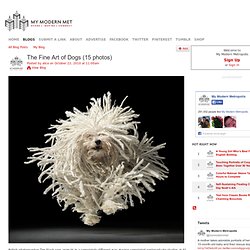 The Fine Art of Dogs (15 photos) - My Modern Metropolis - StumbleUpon