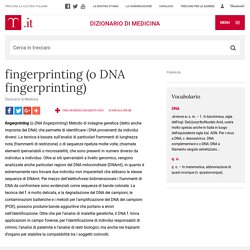fingerprinting (o DNA fingerprinting)   in "Dizionario di Medicina"