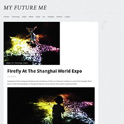 Firefly At The Shanghai World Expo