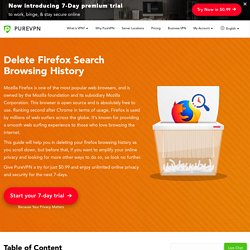 Delete Firefox Search Browsing History