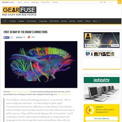 First 3D Map of the Brain’s Connections