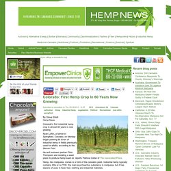 Colorado: First Hemp Crop In 60 Years Now Growing