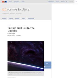 First Life In The Universe : 13.7: Cosmos And Culture