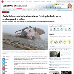 Crab fishermen to test ropeless fishing to help save endangered whales - New Brunswick